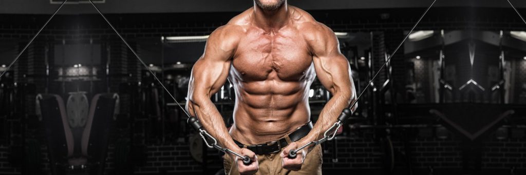 Beginners Guide to a Bigger Chest- Best Chest Workout Chest Workout
